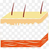 矢量模型毛细血管-空若网 矢量模型毛细血管-空若网