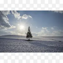 �����¹¶���С��-������