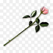 手绘玫瑰-空若网 手绘玫瑰-空若网