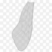 ���-������