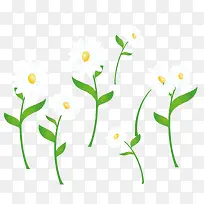 ÂÌÉ«µÄÖ²Îï-¿ÕÈôÍø ÂÌÉ«µÄÖ²Îï-¿ÕÈôÍø