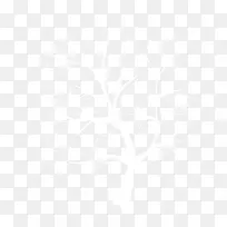 方程式树-空若网 方程式树-空若网