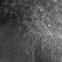 ��ɫ��������-������