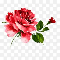 õ�廨�廭-������