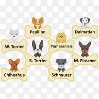 �����ͷС������-������