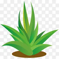 ��������ֲ��С��-������