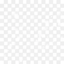 白色 花瓣-空若网 白色 花瓣-空若网