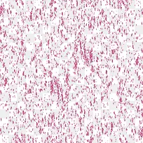 ö��ɫ��㱳��ͼ-������