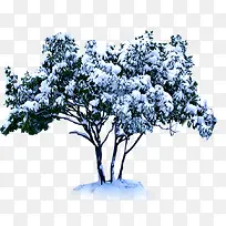 ��ɫֲ����װ�ع�-������