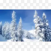 白色雪花银装素裹-空若网 白色雪花银装素裹-空若网