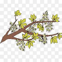 矢量花卉-空若网 矢量花卉-空若网