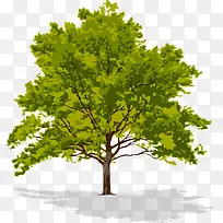 �ſ�������-������