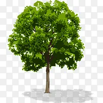 �ֻ�����-������