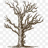 ή�ҵ�����-������