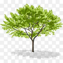 ���ֵ�����-������