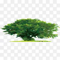 卡通大树手绘老树-空若网 卡通大树手绘老树-空若网