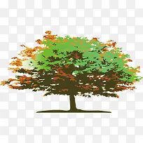 创意老树手绘老树-空若网 创意老树手绘老树-空若网