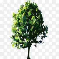 ʸ��������ͨ����-������