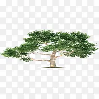 ����������ͨ����-������