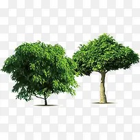 ��������ʸ������-������