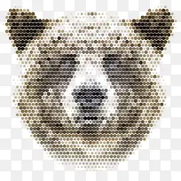 ��ͨ������-������