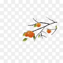 树上的果实-空若网 树上的果实-空若网