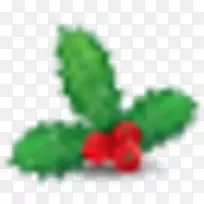 开花植物叶生物-槲寄生-空若网 开花植物叶生物-槲寄生-空若网