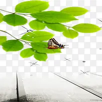 ��Ҷ-������