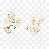 白色花-空若网 白色花-空若网