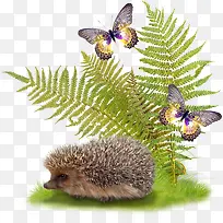 绿草-空若网 绿草-空若网