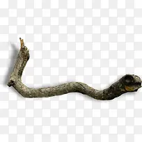 树根素材-空若网 树根素材-空若网