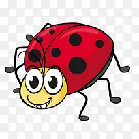 瓢虫-空若网 瓢虫-空若网