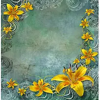 黄花鲜花背景-空若网 黄花鲜花背景-空若网