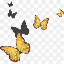 ����Ư��-������