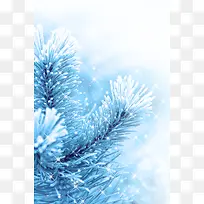 ÃλÃÊ÷ľ±³¾°-¿ÕÈôÍø ÃλÃÊ÷ľ±³¾°-¿ÕÈôÍø