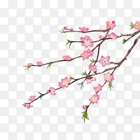 水彩红色花朵淡黑色树枝-空若网 水彩红色花朵淡黑色树枝-空若网