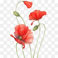 �ž黨ˮī�����-������