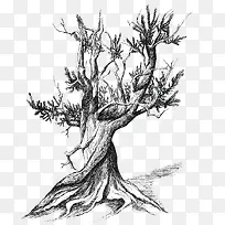 黑白枯树插画-空若网 黑白枯树插画-空若网