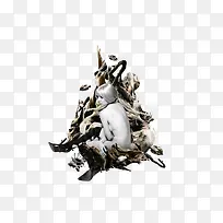 ������Ů�廭-������