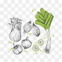 素描蔬菜图免抠下载-空若网 素描蔬菜图免抠下载-空若网