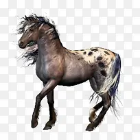 һƥ¿¥Âí-¿ÕÈôÍø һƥ¿¥Âí-¿ÕÈôÍø