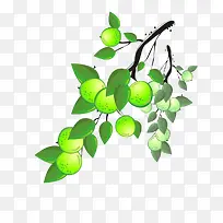 Çà÷-¿ÕÈôÍø Çà÷-¿ÕÈôÍø