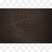 ��Ƥ��������-������