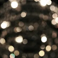 �ڰ׹�߱���-������