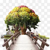 桥头上的许愿树-空若网 桥头上的许愿树-空若网