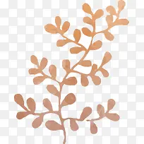 ˮ��Ҷ��-������