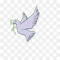 手绘和平鸽设计素材-空若网 手绘和平鸽设计素材-空若网