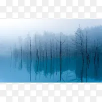 白色树林河中倒影-空若网 白色树林河中倒影-空若网