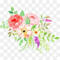 美丽花卉水彩牡丹花簇-空若网 美丽花卉水彩牡丹花簇-空若网