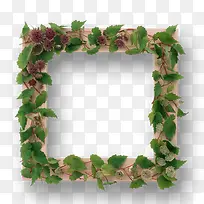 ����Ҷ�����-������